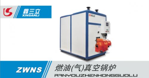 真空燃?xì)忮仩t